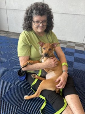 So Many Pets Adopted!