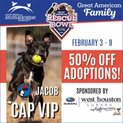 A Tail-Wagging Success: Rescue Bowl at CAP