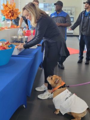 Subaru Loves Pets Month: A Community Coming Together for Animals