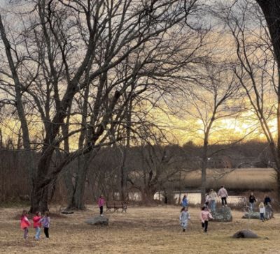 Driving Environmental Stewardship: Reynolds' Subaru and RTPEC Unite for Nature and Community