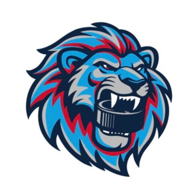 partnerCompanyName