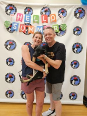 33 Homeless Pets Find Loving Homes