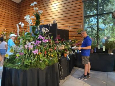 2024 Annual Orchid Show