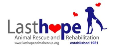 Last Hope Animal Rescue & rehabilitation