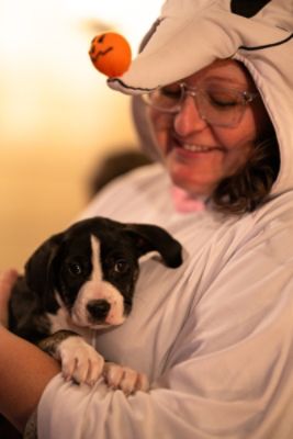 Bowsers Boo Bash, Presented by Capitol Subaru