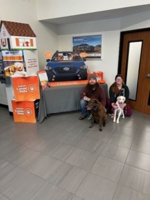 Subaru Loves Pets Month with COFAS