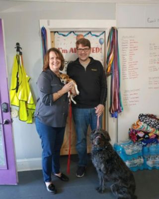 Subaru Loves Pets Adoption Event