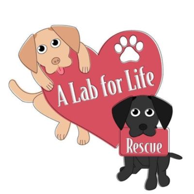 A Lab for Life