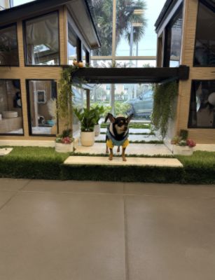 Subaru of Naples Hosts SNIP Collier’s Doghouse Challenge, Raising $500K for Animal Welfare