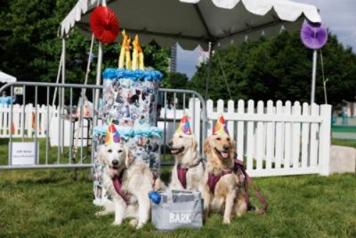 Berman Subaru Supports Anti-Cruelty's BARK 30th Anniversary Event!