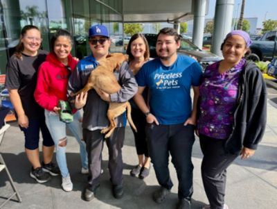 Subaru Loves Pets, Priceless Pets