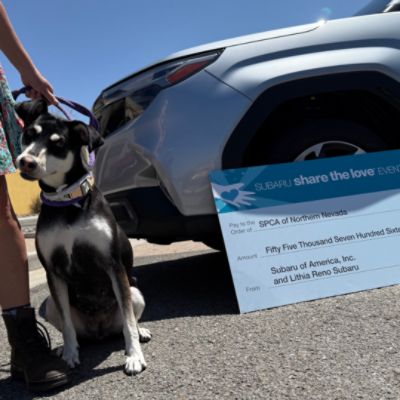 Driving Love Home for Local Homeless Pets