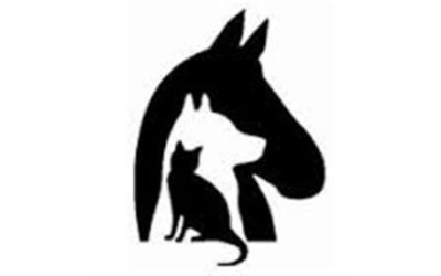 partnerCompanyName