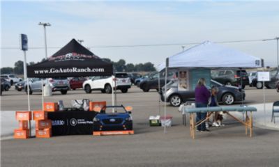 Dog Adoption