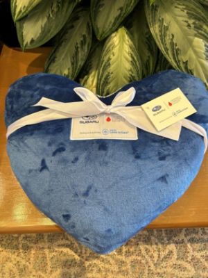 IG Burton Subaru of Glen Burnie Loves to Care 