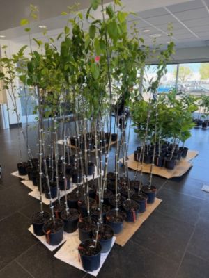 Growing a Greener Tomorrow Together