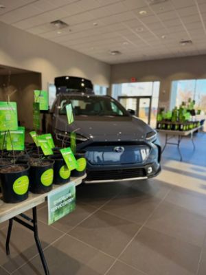 Subaru Loves the Earth Tree Distribution 