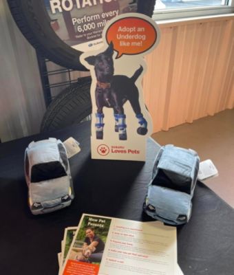 Della Subaru Really Loves Pets