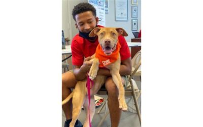 DYER Subaru finds new homes for shelter pets