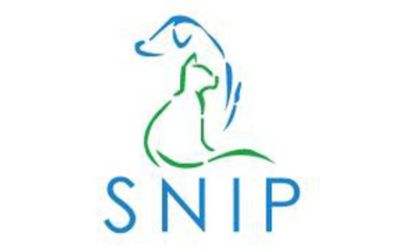 partnerCompanyName