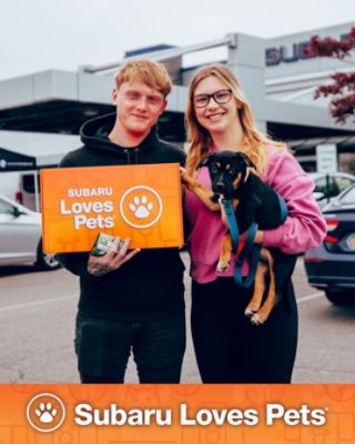 Finding Fur-ever Homes For the Holidays