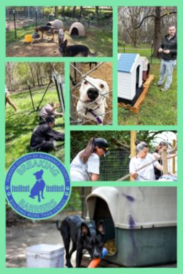 Humane Society of Alamance County is Breaking Barriers!