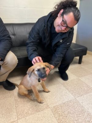 Royal Moore Loves Pets