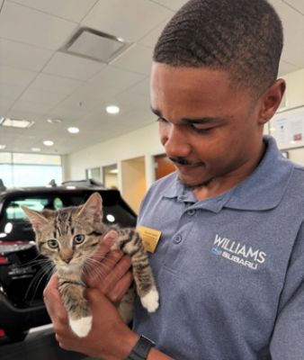 A Purr-fect Day with Windsor Kittens at Williams Subaru