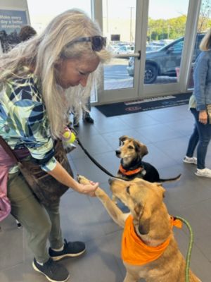 HART is Thankful for Dulles Subaru