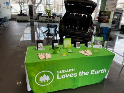 Arbor Day Tree Giveaway