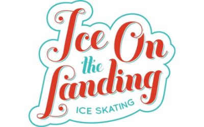 Ice on the Landing