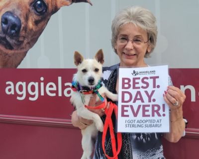 Casper's Healing Heart