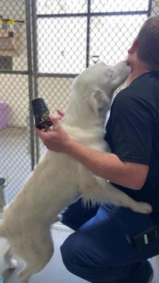 FOX Subaru Volunteer Engagement