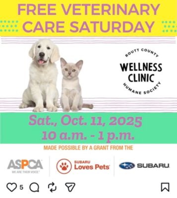 Cook Subaru Loves Helping Pets in Need
