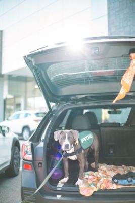 Fitzgerald Subaru of Gaithersburg Loves HRA!