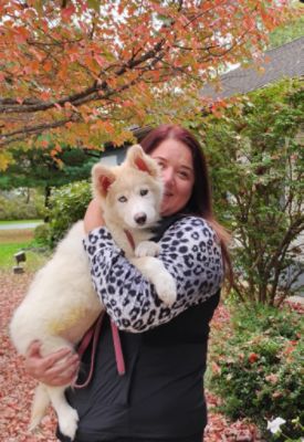 Storm - Chautauqua County Humane Society