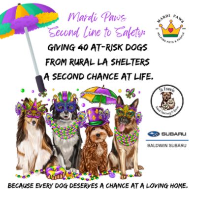 Second Line to Safety – Powered by Baldwin Subaru