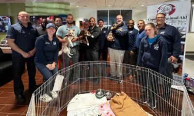 IRA Subaru Celebrates Animal Shelter