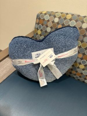 Fitzgerald Subaru of Countryside Loves to Care
