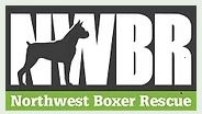 NW Boxer Rescue