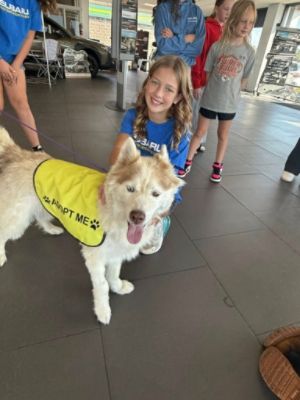 A great story of one of the dogs we adopted during October Subaru Loves Pets Event (Kona the Husky)