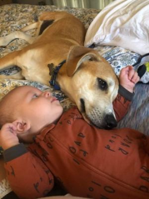 Subaru Loves Pets - Underdog Bubba get Adopted!