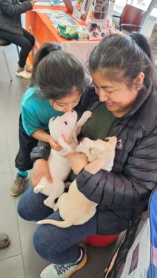 Finding loving homes for pets with Subaru