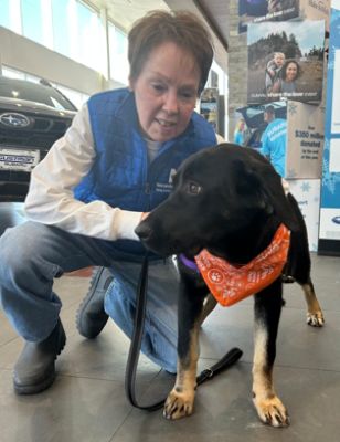 Share the Love - The Neenah Animal Shelter