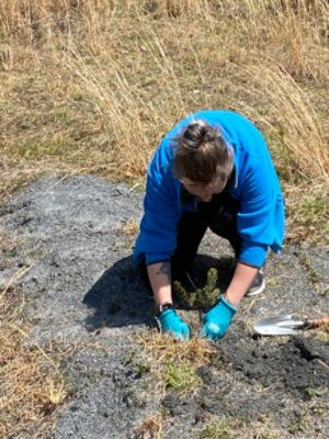 Earth Day Tree Planting