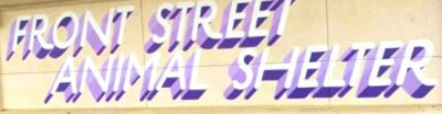 Front Street Animal Shelter