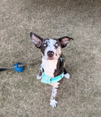 A Second Chance to Change Lives