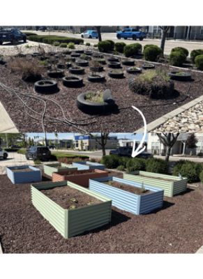 Planting Seeds Of Love In The New And Improved Community Garden