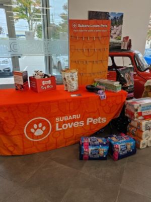 Pets Alive sends a huge thank you to Johnstons Subaru!