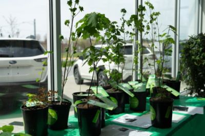 Growing Together: One Tree at a Time